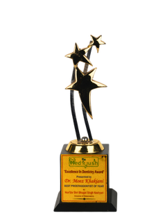Excellence In Dentistry Award