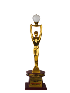 Indian Health Professional Awards 2017